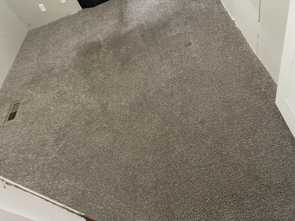 Carpet Cleaning Services