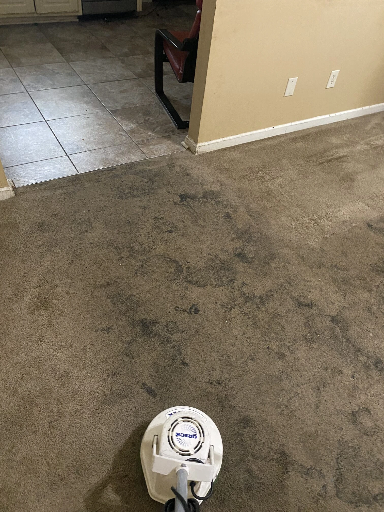 Cleaning carpet with rotatory machine