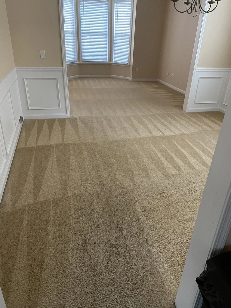Clean Carpet after cleaning