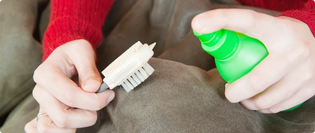 Brush and spray