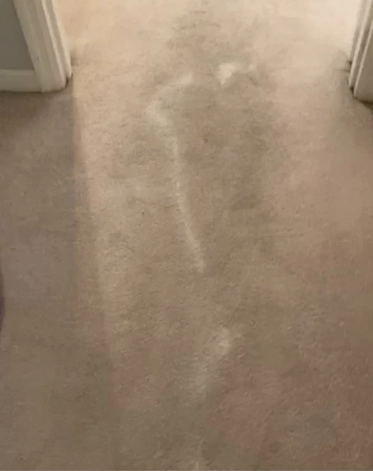 Cleaning