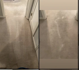 Cleaning Carpet